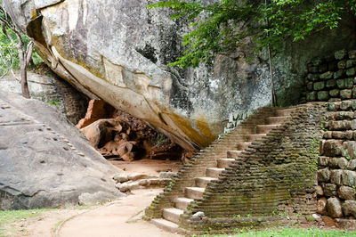 Steps amidst trees