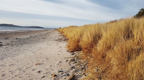 Scenic view of beach against sky