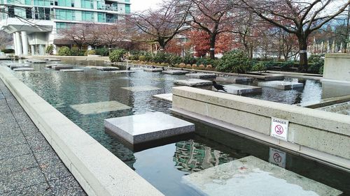 Trees by water