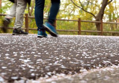 Low section of people walking on street