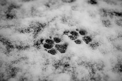 High angle view of snow covered land