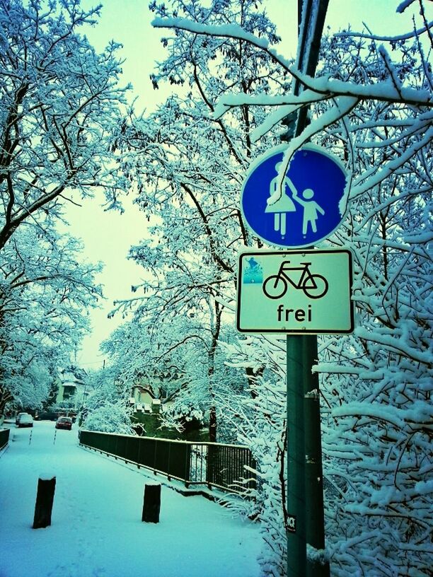 text, communication, tree, western script, blue, guidance, sign, road sign, information sign, clear sky, low angle view, branch, bare tree, information, day, built structure, no people, warning sign, nature, sky