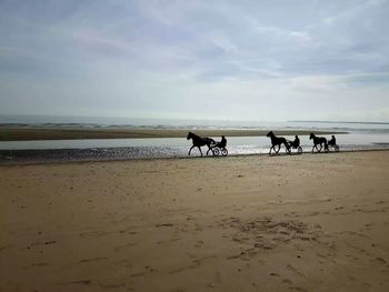 Scenic view of beach