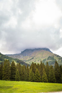 Natural landscape with green mountain peaks in summer