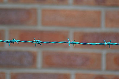 Close-up of turquoise barbed wire fence against brick wall