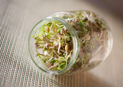 Close-up of food in bowl