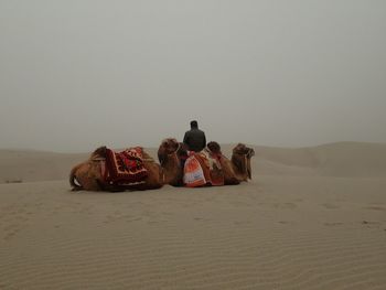 Friends on sand dune in desert against clear sky