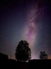 Low angle view of silhouette trees against sky at night