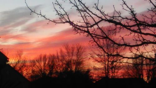 Silhouette bare trees against sky during sunset