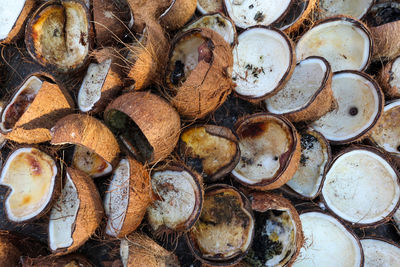 Full frame shot of logs in forest