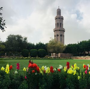 View of red flowering plants in garden