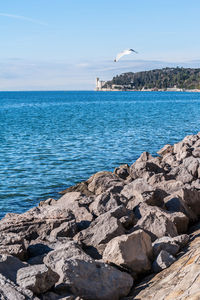 Scenic view of sea against sky