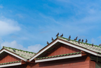 Low angle view of birds perching on roof of building