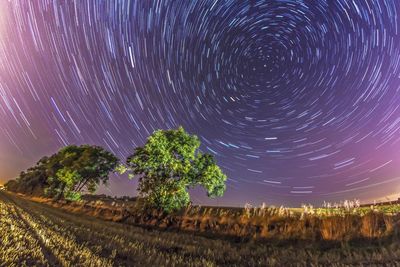 Trees on field against star trails