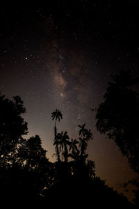 Low angle view of silhouette trees against sky at night