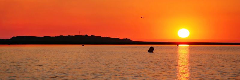 Silhouette birds flying over sea against orange sky