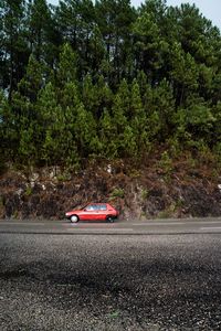 Red car on road against trees