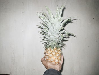 Cropped hand holding pineapple against wall