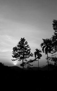 Low angle view of silhouette tree against sky during sunset