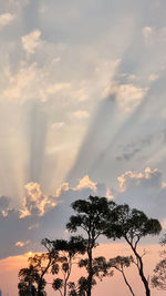 Low angle view of silhouette trees against sky