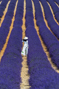 Rear view of woman walking amidst flowering plants on field