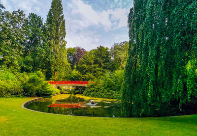 Trees in park against sky