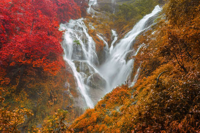 Scenic view of waterfall in forest during autumn