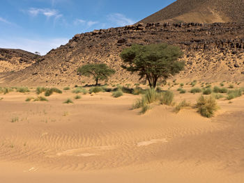 Scenic view of desert against sky