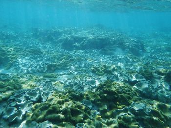 Aerial view of sea