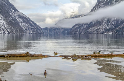 Scenic view of lake and snowcapped mountains against sky