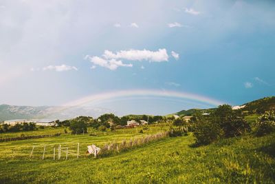 Summer rainbow in the village of georgia
