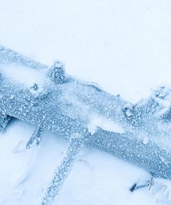 Close-up of snow on land