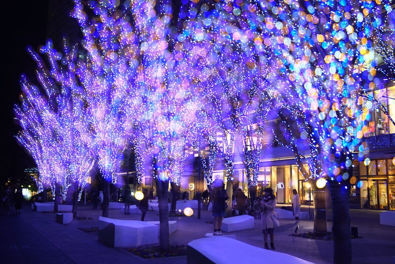 night, illuminated, celebration, tree, christmas, large group of people, christmas lights, celebration event, real people, architecture, built structure, city, outdoors, men, building exterior, travel destinations, women, vacations, crowd, christmas decoration, people