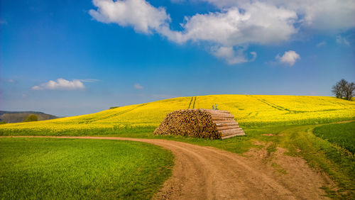 Narrow pathway along countryside landscape