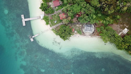 High angle view of trees by water