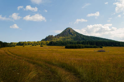 Scenic view of field against sky