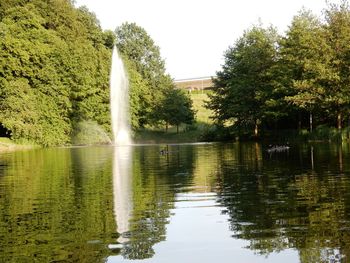 Reflection of trees in lake