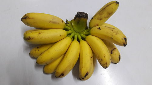 High angle view of fruits on white background