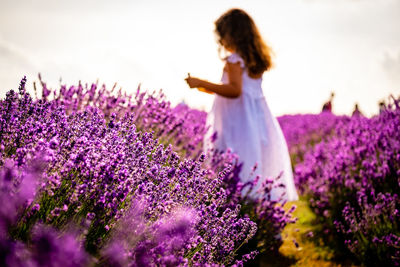 Rear view of woman standing amidst purple flowering plants on field