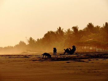 People riding horse on field against sky