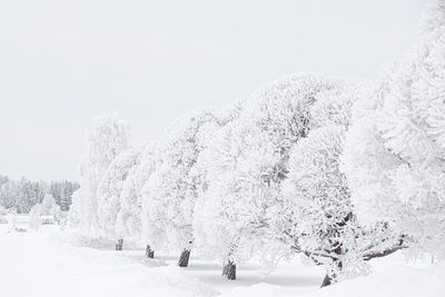 Scenic view of snow covered field against sky