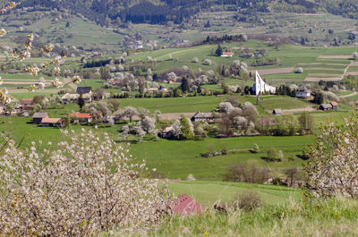 Aerial view of agricultural landscape