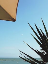 Low angle view of sea against clear blue sky