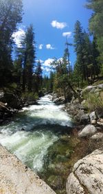 River amidst trees in forest against sky