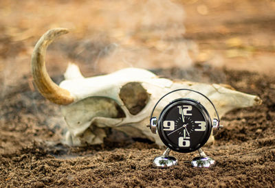 Close-up of a clock on the ground