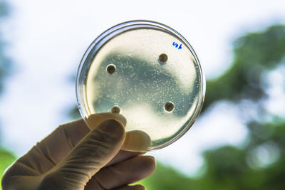 Cropped hand holding glass lid