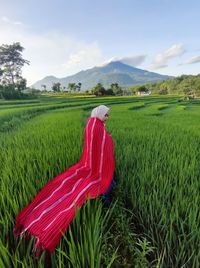 Scenic view of farm field against sky