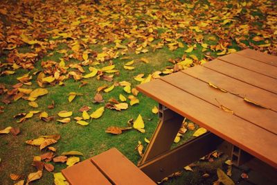 High angle view of fallen leaves on wooden plank