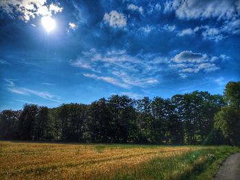 Trees on field against sky