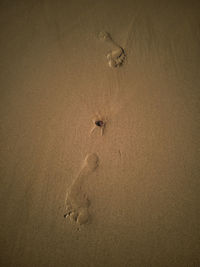 High angle view of footprints on sand at beach